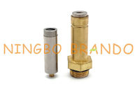 LPG CNG Solenoid Valve Brass Thread Seat Armature Plunger Kit