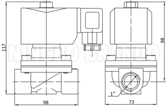 2W250-25 1'' 2 Way biasanya tertutup Kuningan Water Solenoid Valve 24V 220V