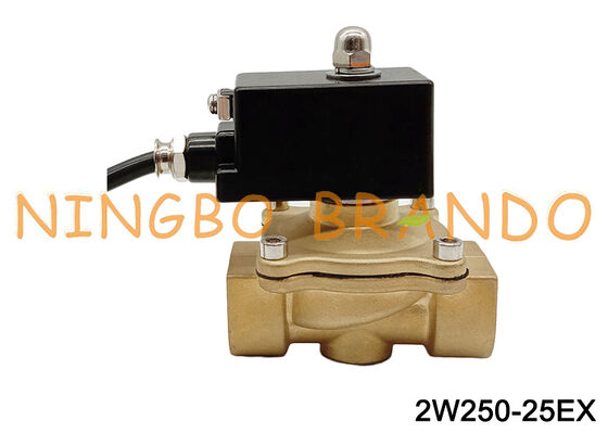 1 ''Katup Solenoid Tahan Ledakan Kuningan Biasanya Tertutup 24V 110V 220V