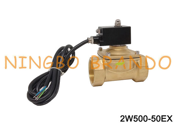 Katup Solenoid Kuningan Tahan Ledakan NC 2 ''2/2 Arah 24V 110V 220V