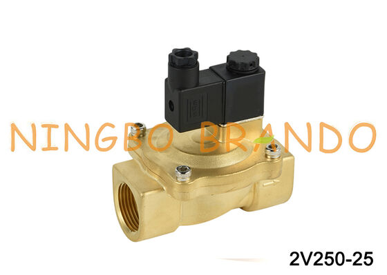Airtac Tipe 2V250-25 Katup Solenoid 2 Arah Katup Udara AC220V 110V DC12V 24V