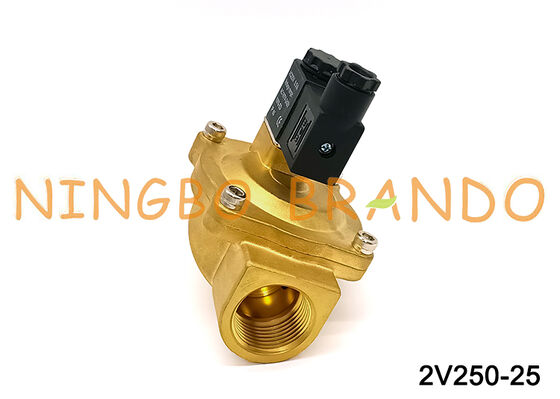 Airtac Tipe 2V250-25 Katup Solenoid 2 Arah Katup Udara AC220V 110V DC12V 24V