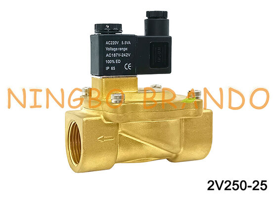 Airtac Tipe 2V250-25 Katup Solenoid 2 Arah Katup Udara AC220V 110V DC12V 24V
