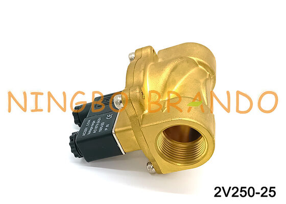 Airtac Tipe 2V250-25 Katup Solenoid 2 Arah Katup Udara AC220V 110V DC12V 24V