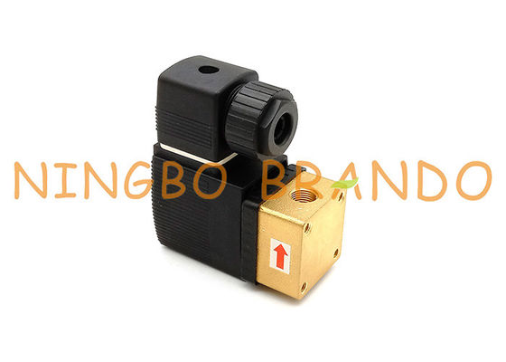 AC220V DC24V 1/4 `` Inch 6013 NC Langsung Bertindak Katup Solenoid Plunger