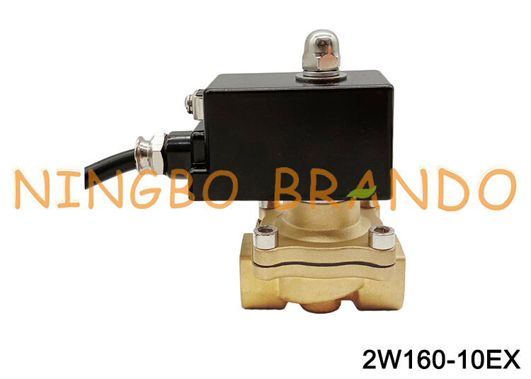 Katup Solenoid Kuningan Air Tahan Ledakan 3/8 ''12V 24V DC 110V 220V AC
